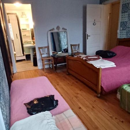 Chez Virginie - Chambre Du Bourg ルルド エクステリア 写真